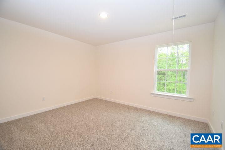 54 Porkchop Ct photo 14