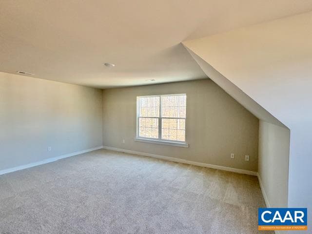 53 Porkchop Ct photo 19