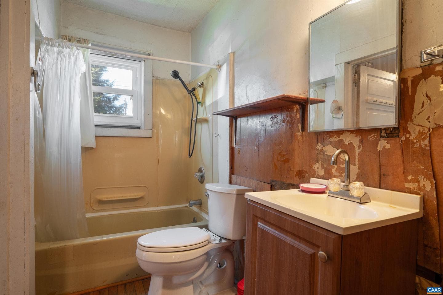 1101 Forest St photo 10