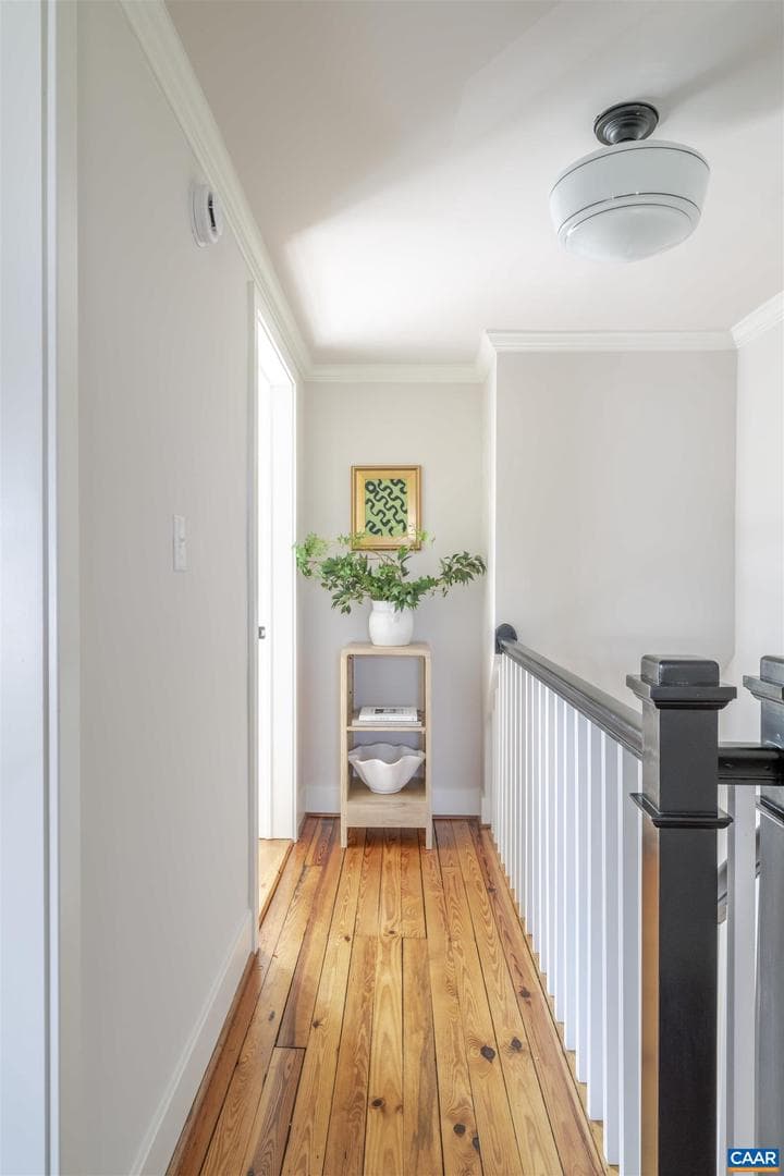 1107 Myrtle St photo 27