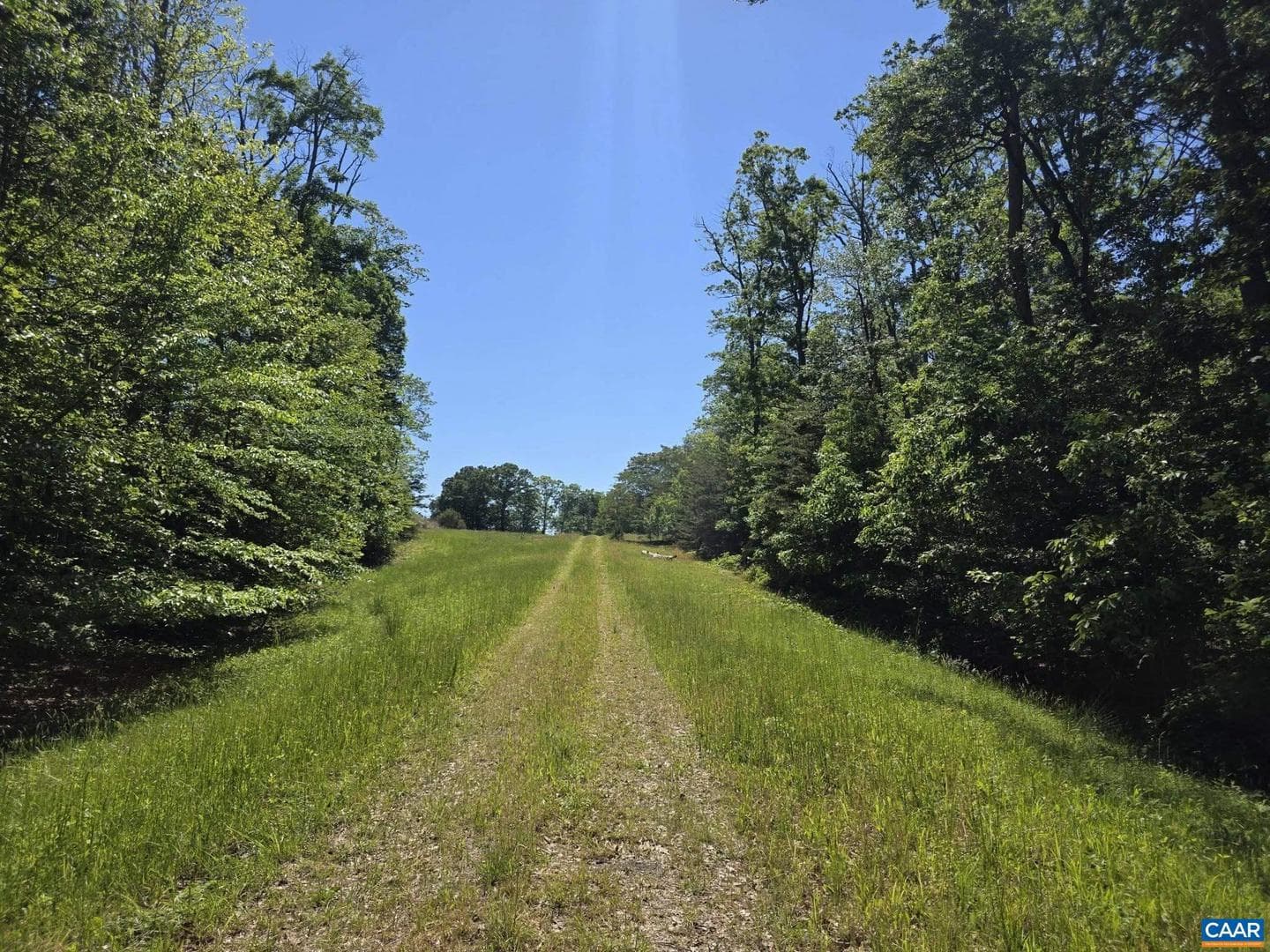 2 Coquina Dr, Barboursville