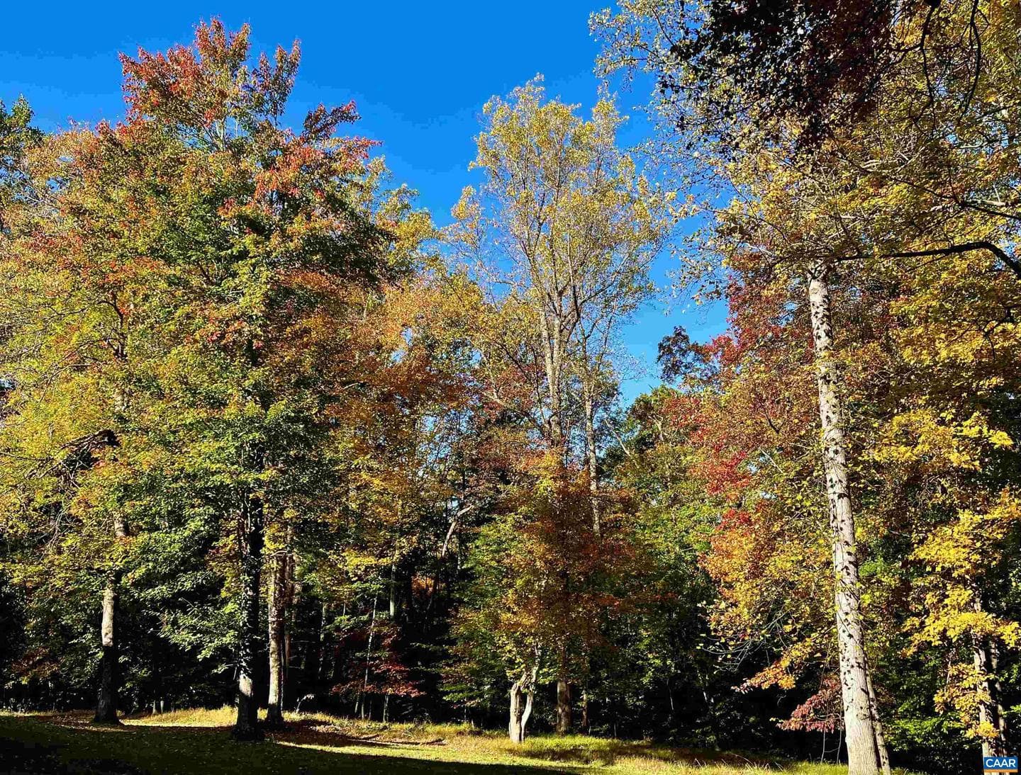 2482 Schelford Farm Rd photo 39