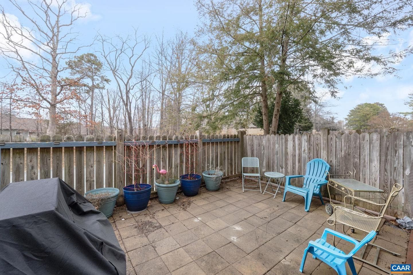 782 Merion Greene photo 23
