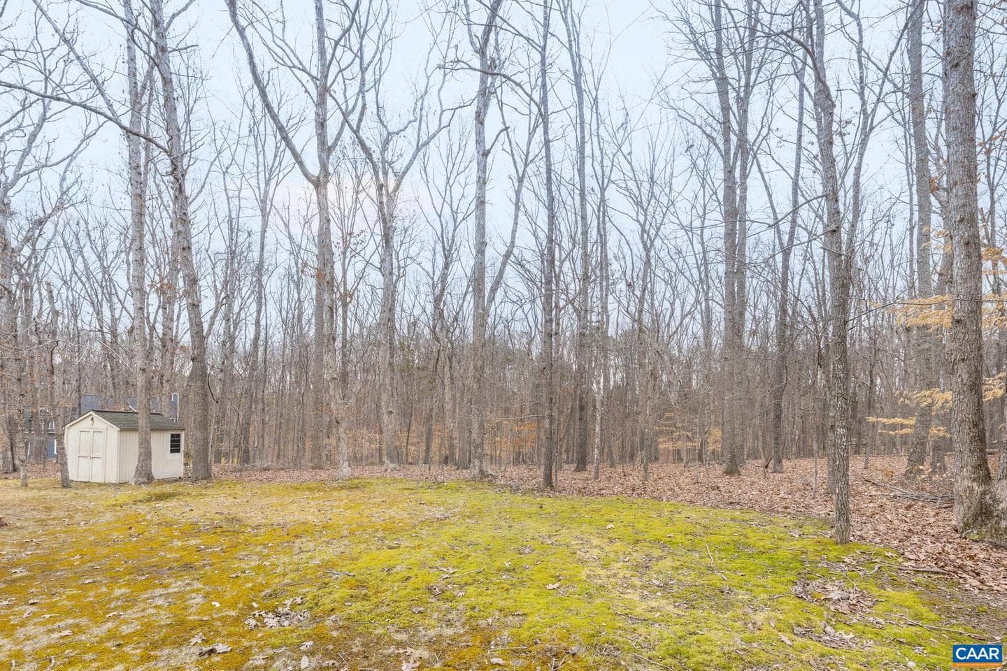 22 Bridlewood Dr photo 7