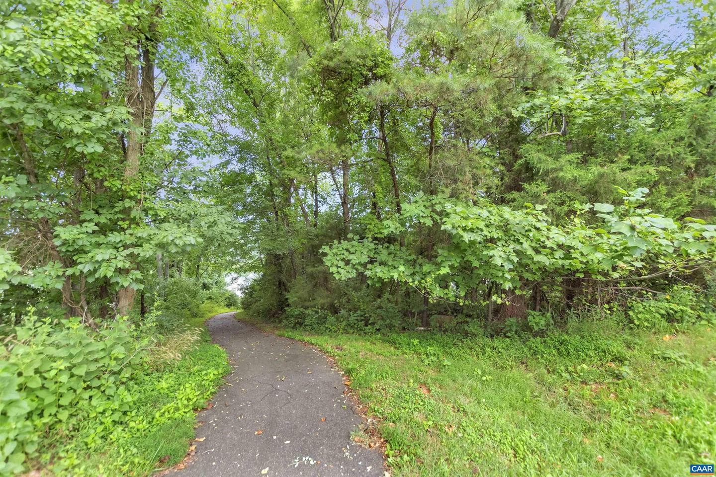 343 Rolkin Rd photo 35