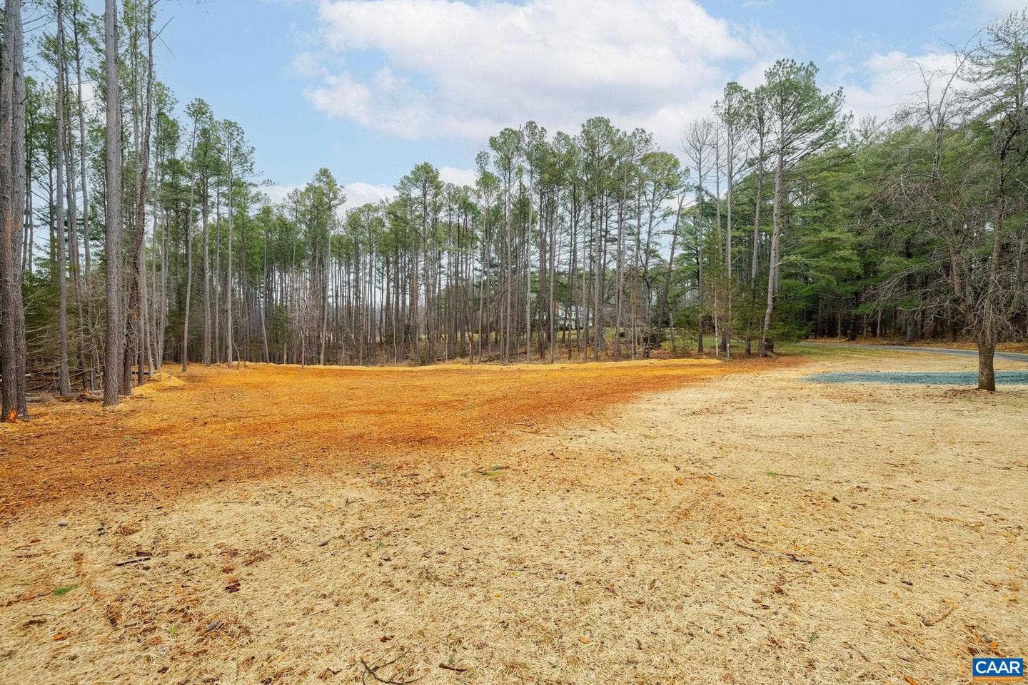 3.12 Acres Tbb Garth Rd photo 5