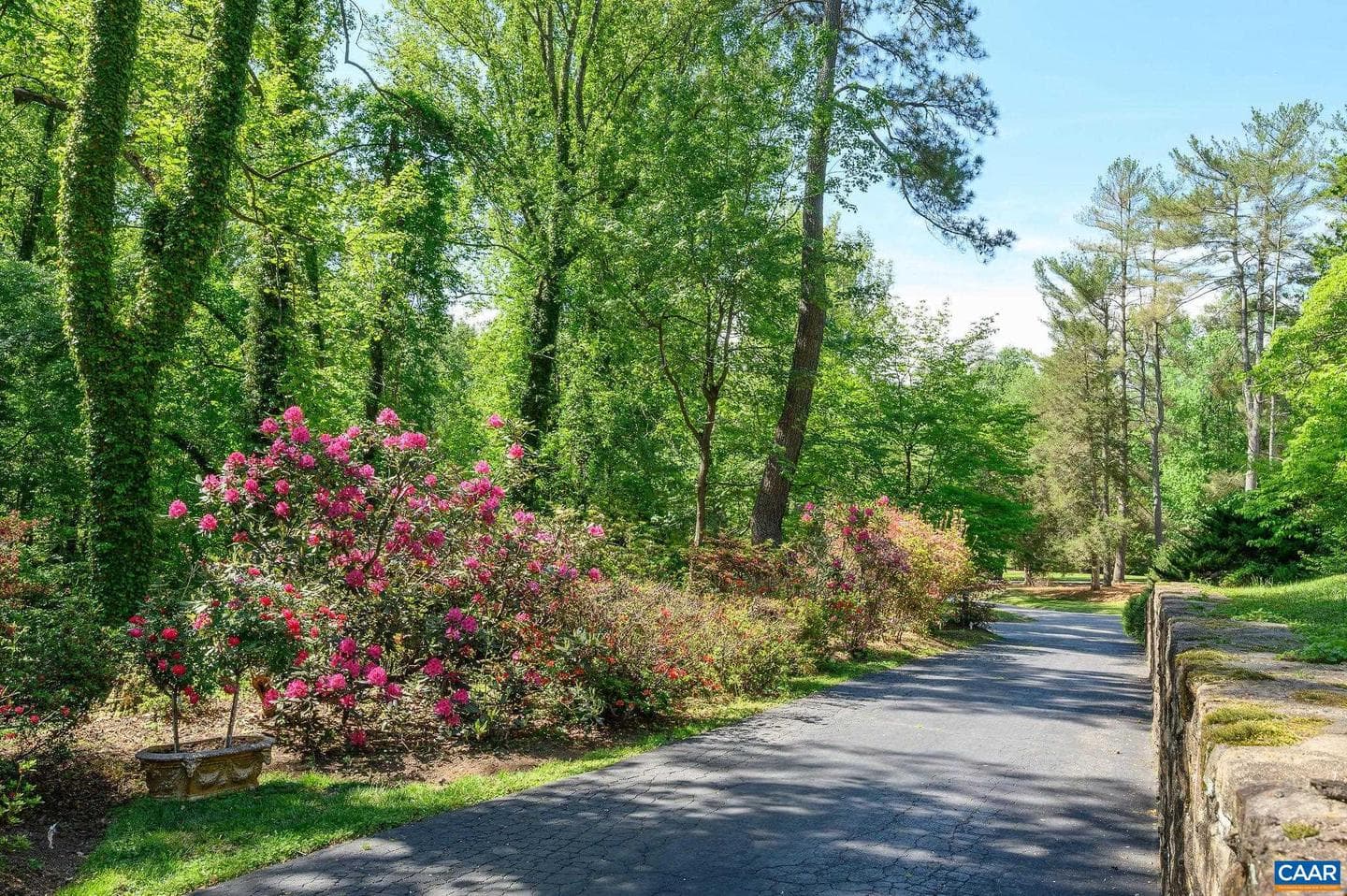 21 Deer Path photo 31