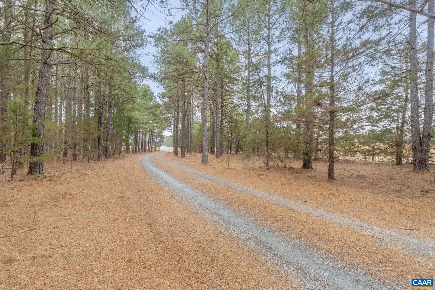 12048 Louisa Rd photo 7