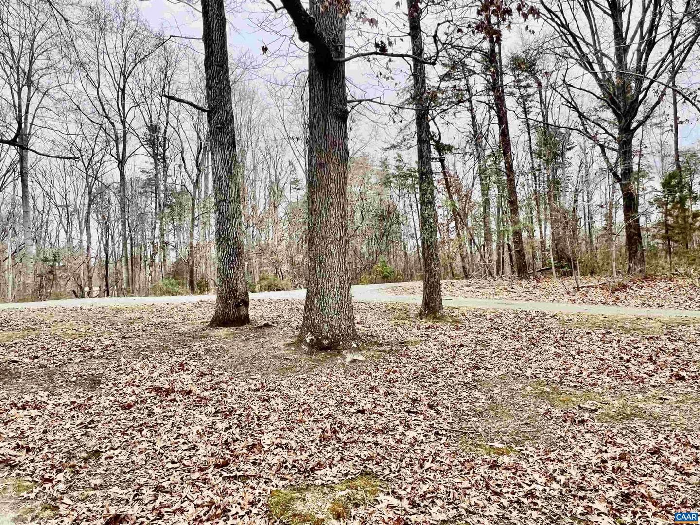 8955 Louisa Rd photo 19