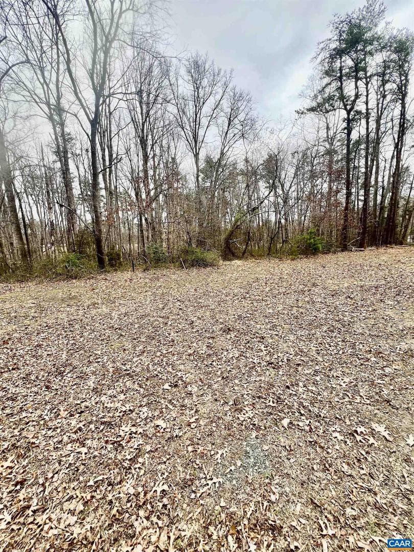 8955 Louisa Rd photo 22
