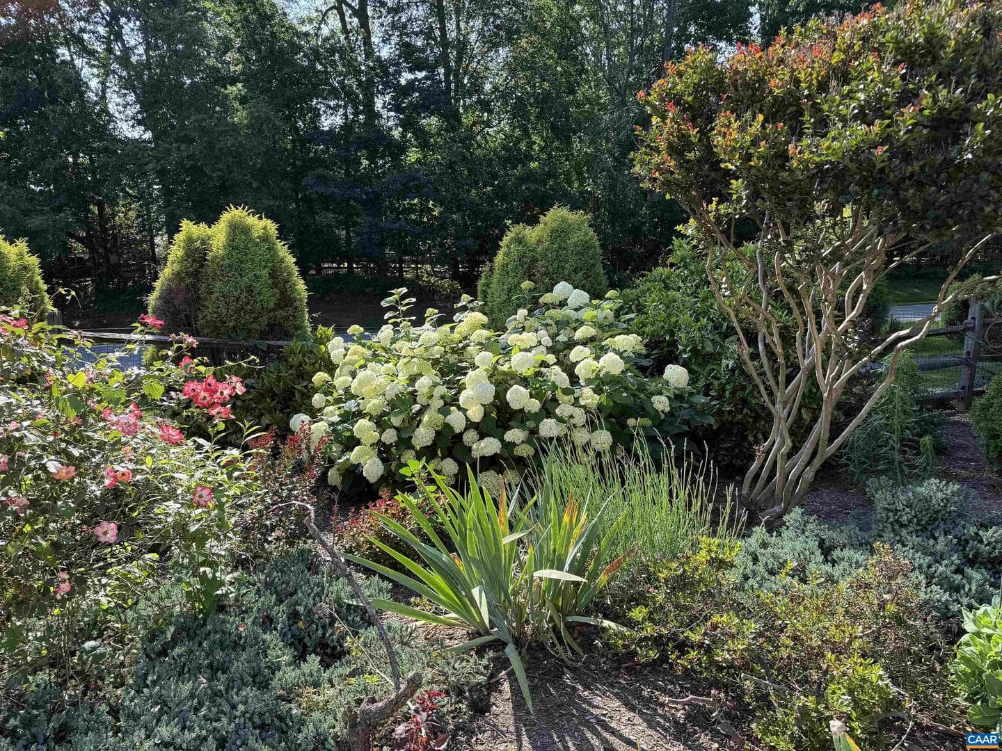 3206 Poplar Ridge Rd photo 27