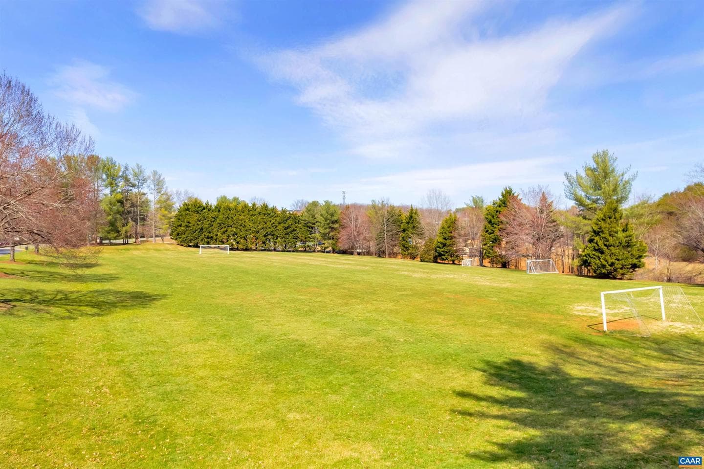3206 Poplar Ridge Rd photo 34