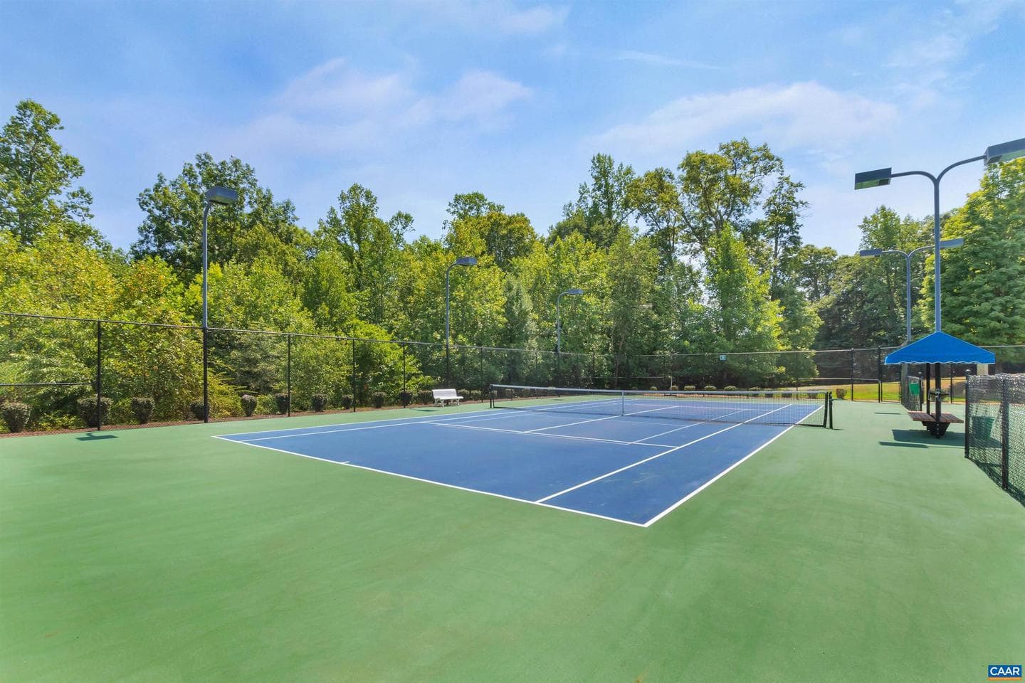 1131 Rustic Willow Ln photo 43