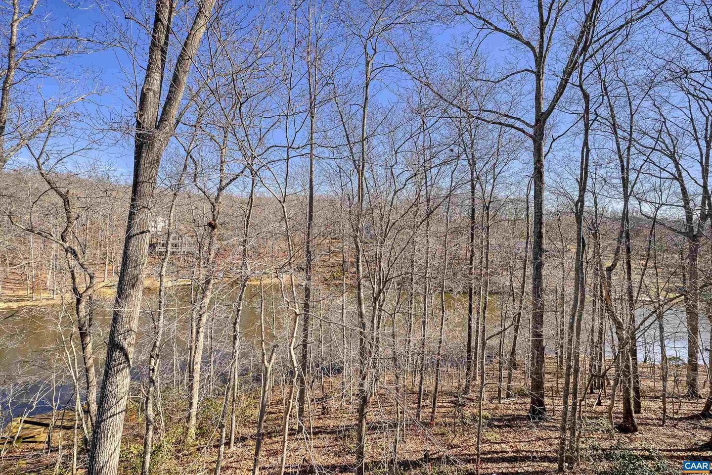 3 Nutwood Cir photo 37