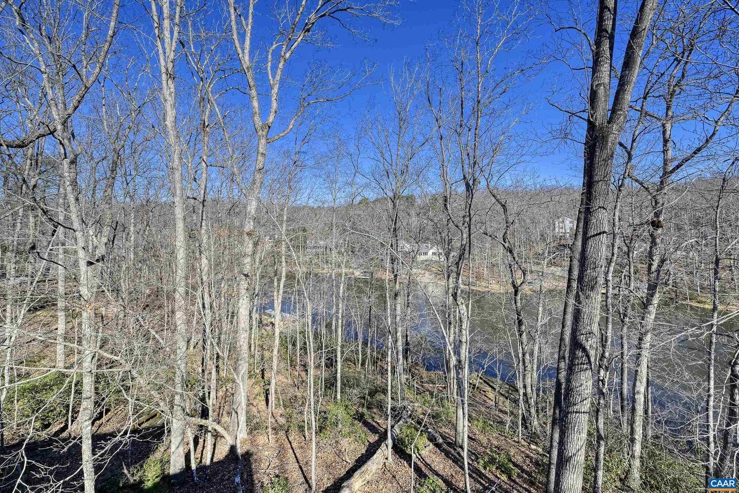 3 Nutwood Cir photo 38