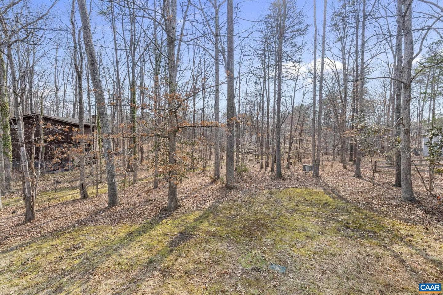 814 Jefferson Dr photo 37
