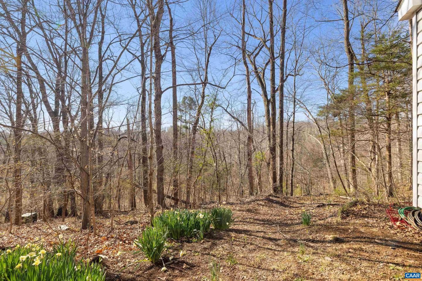 5485 Jamestown Ct photo 48