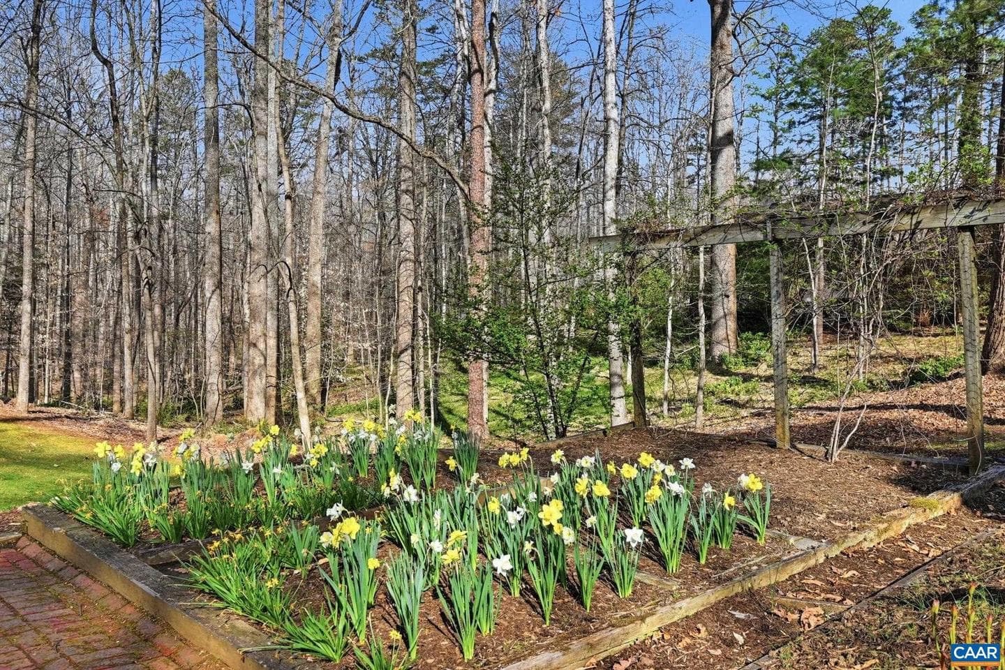 2404 Pine Garth Run photo 64
