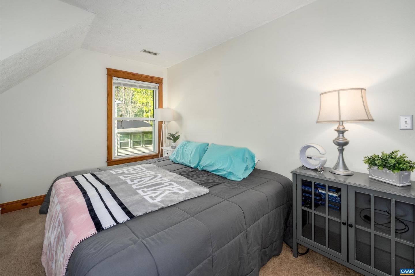5 Iroquois Way photo 49