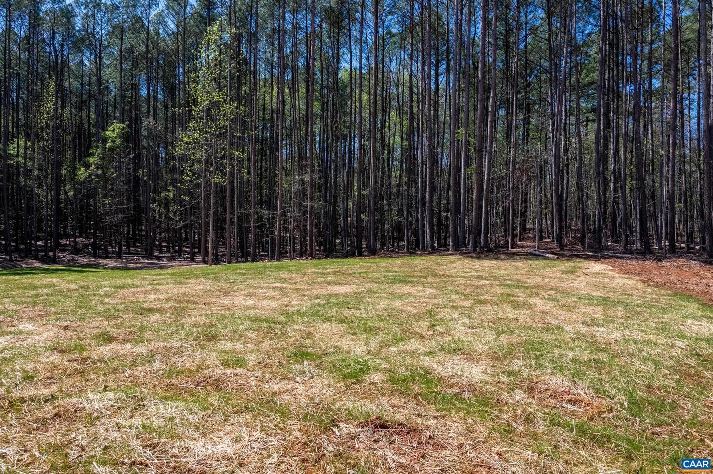 21 Acres Tbb Garth Gate Ln photo 13