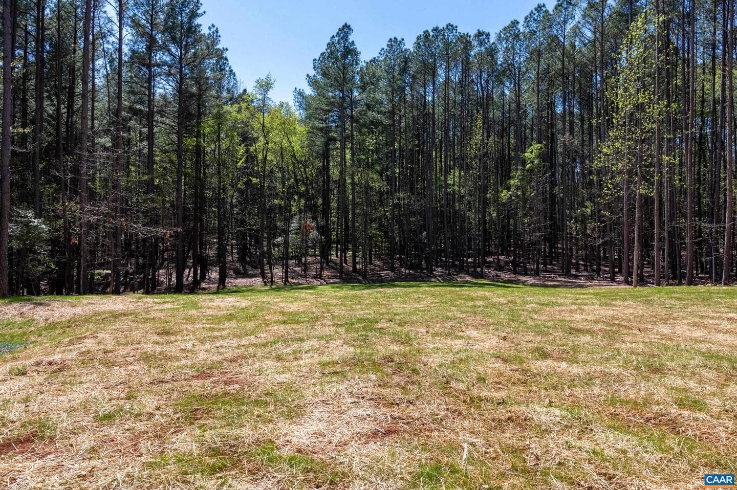 21 Acres Tbb Garth Gate Ln photo 14