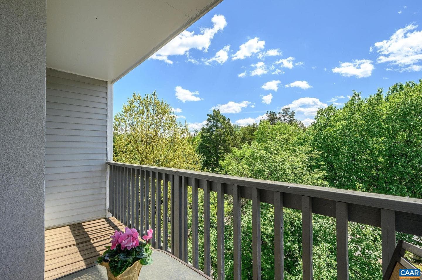 1243 Cedars Ct #a7 photo 3