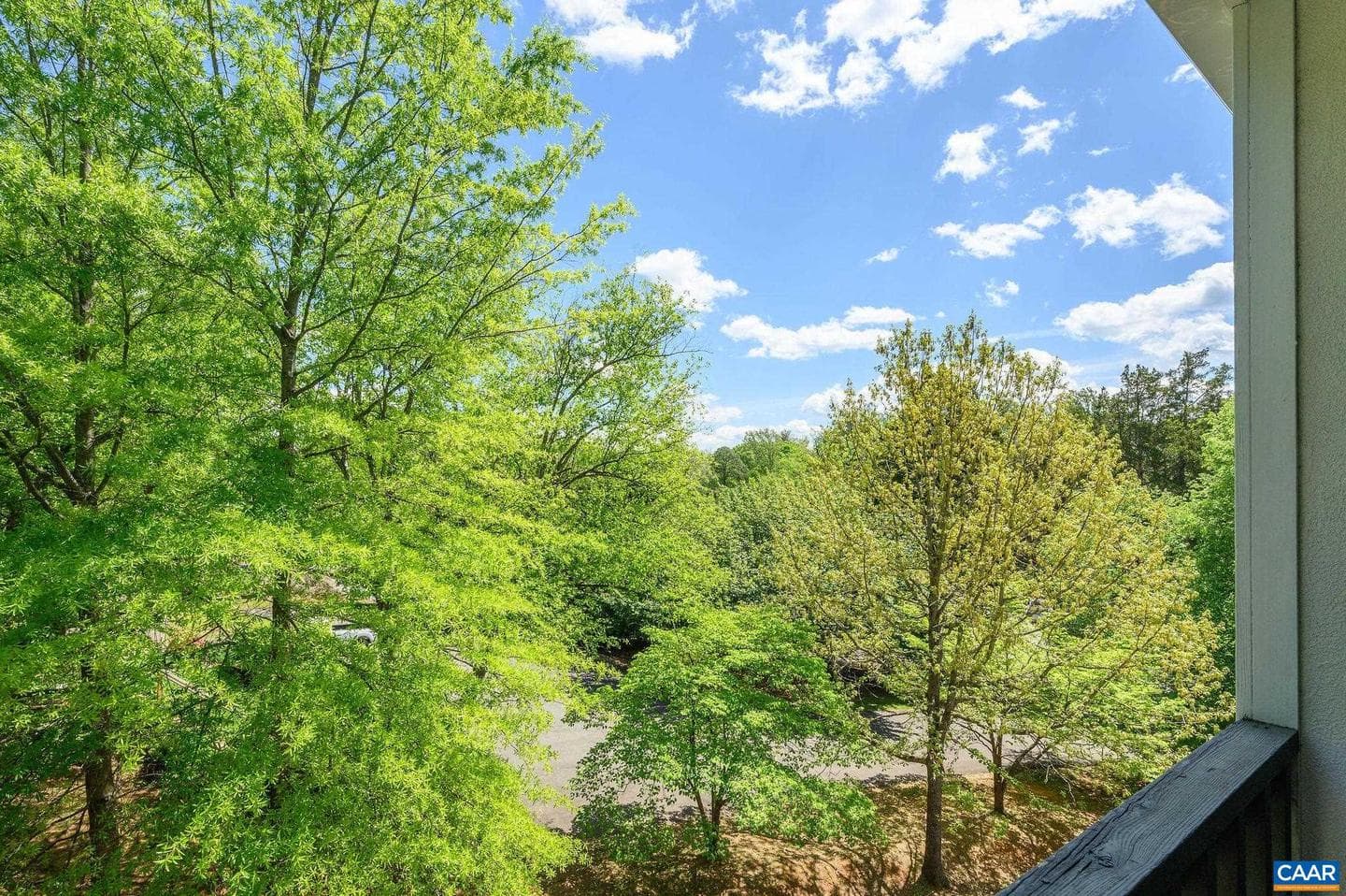 1243 Cedars Ct #a7 photo 8
