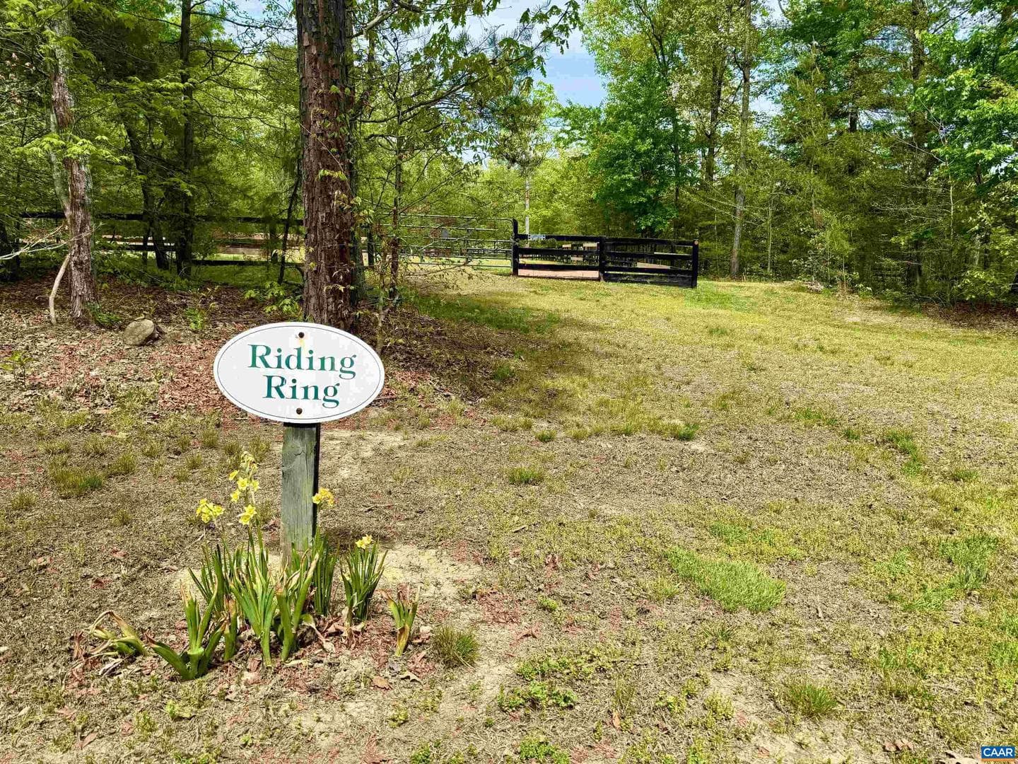 1025 Pelham Dr photo 51