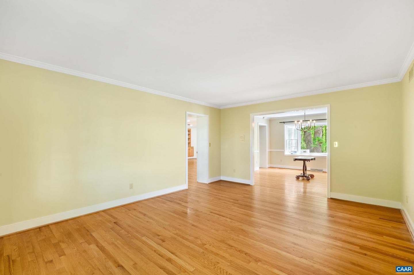 165 Walnut Ln photo 11