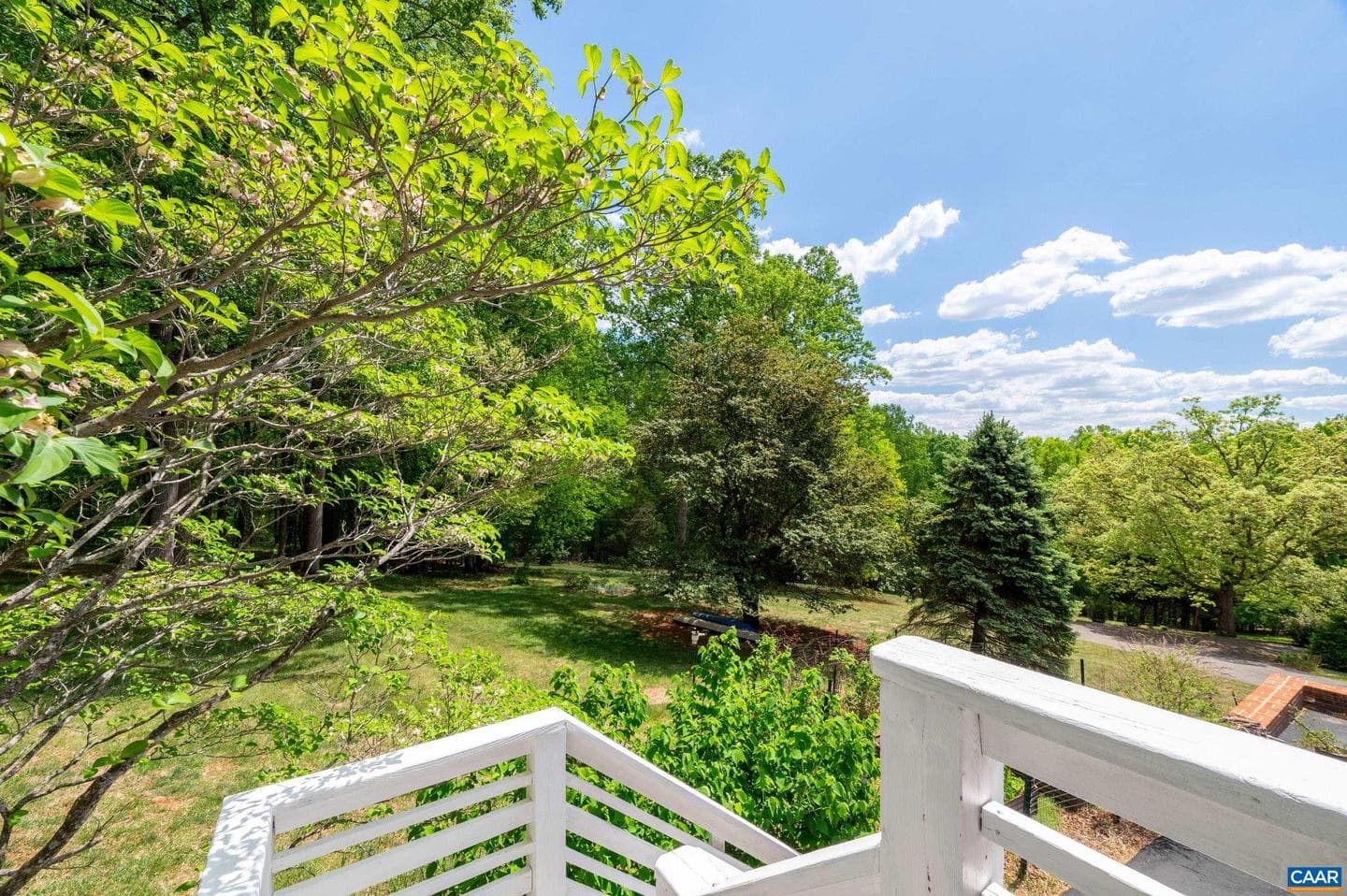 165 Walnut Ln photo 58