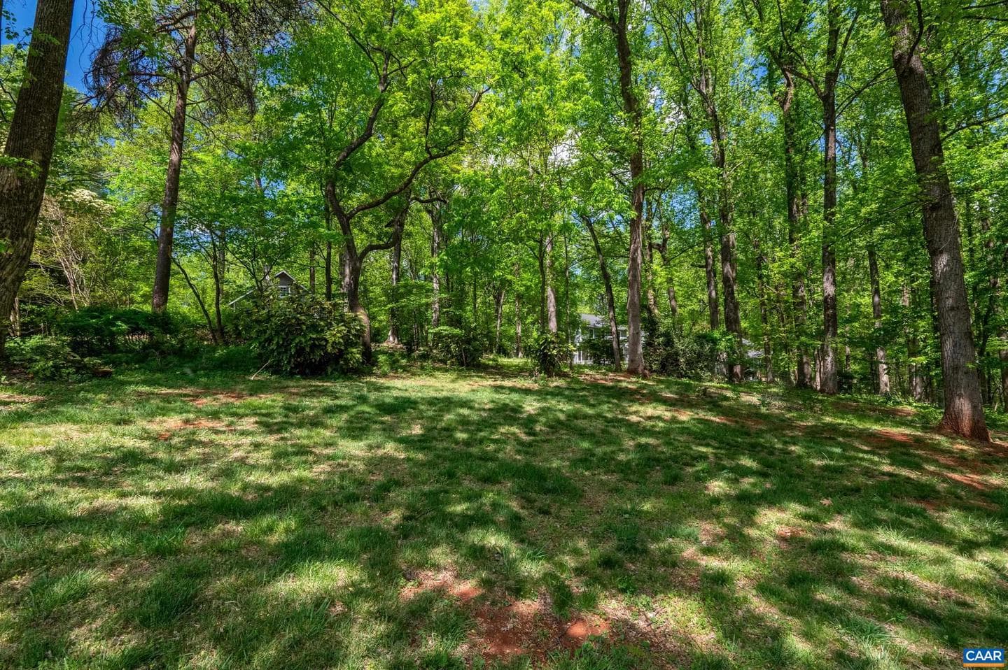 165 Walnut Ln photo 61
