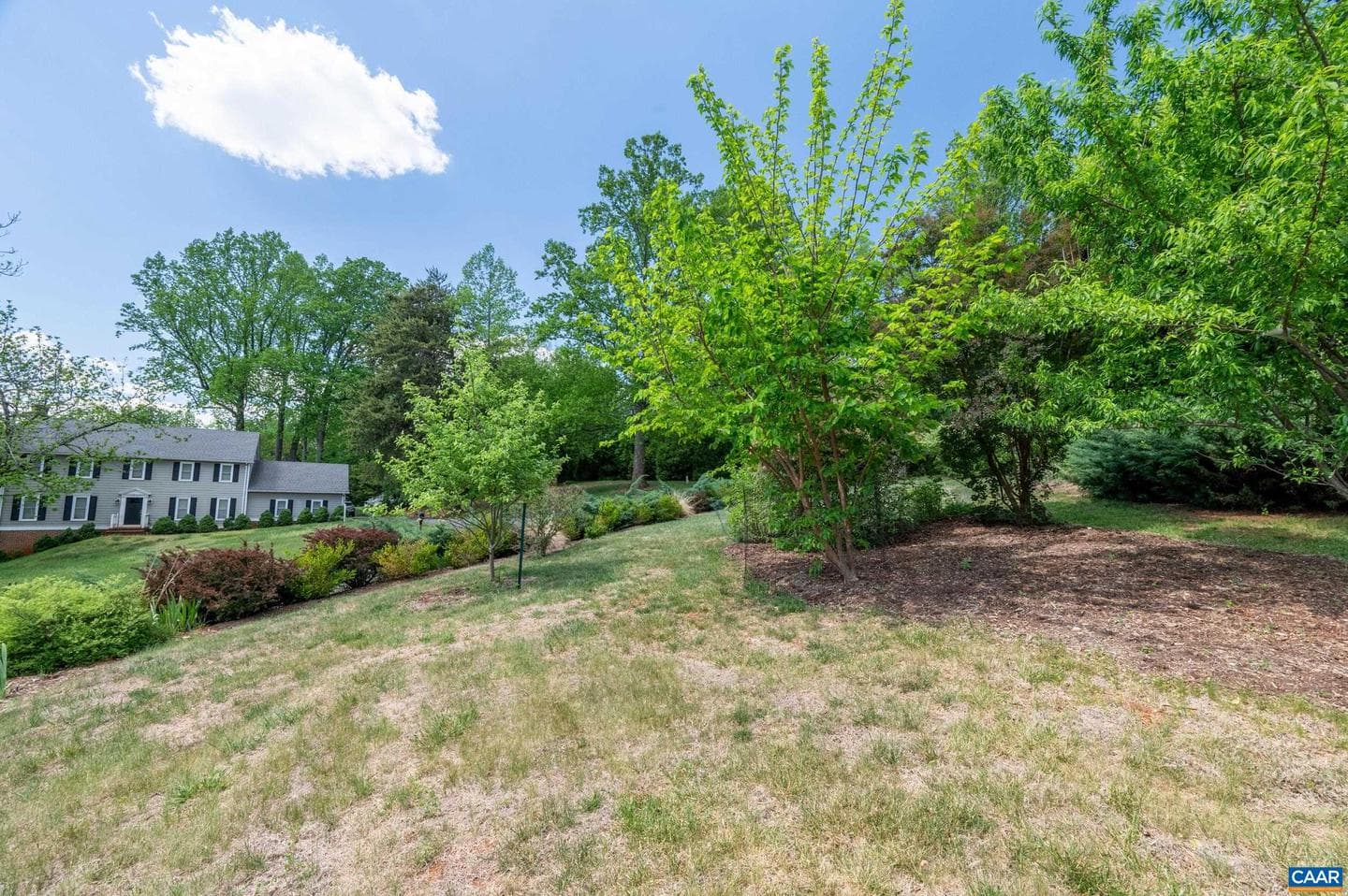 165 Walnut Ln photo 70