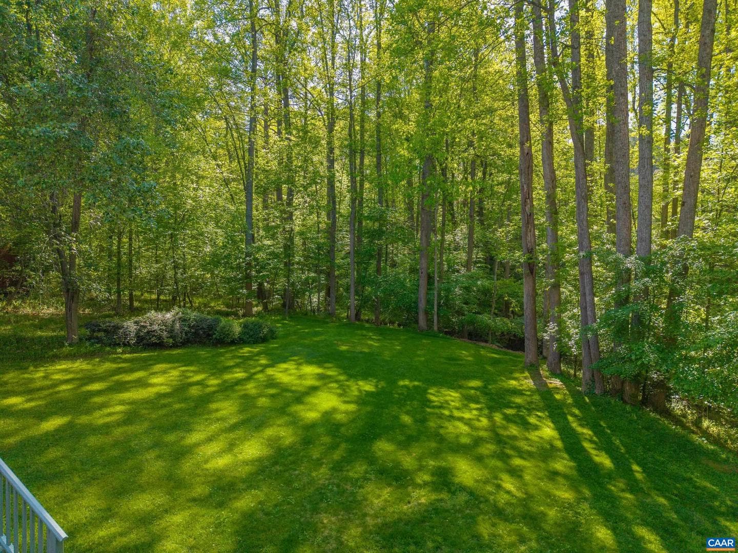 204 W Rosewood Dr photo 29