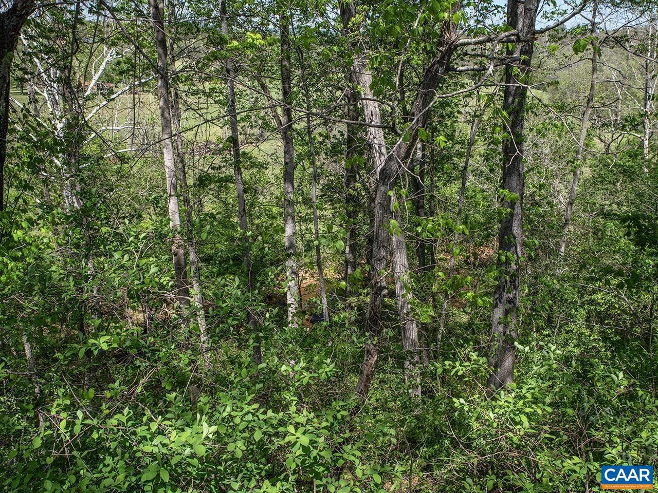 4177 Rolling Rd photo 58