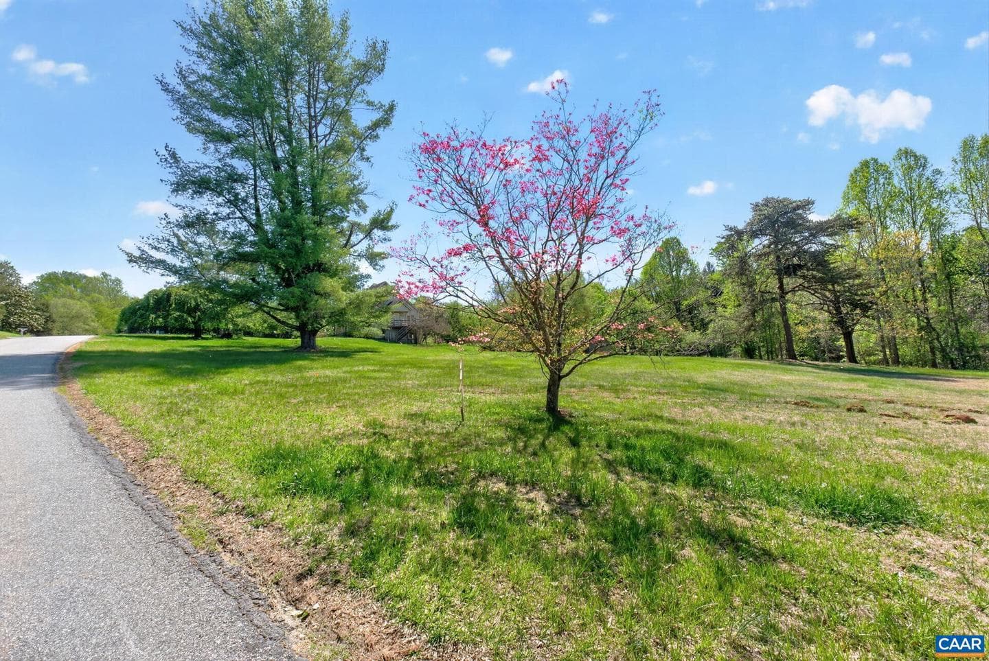 2 Acres Tbb Franklin Dr photo 46