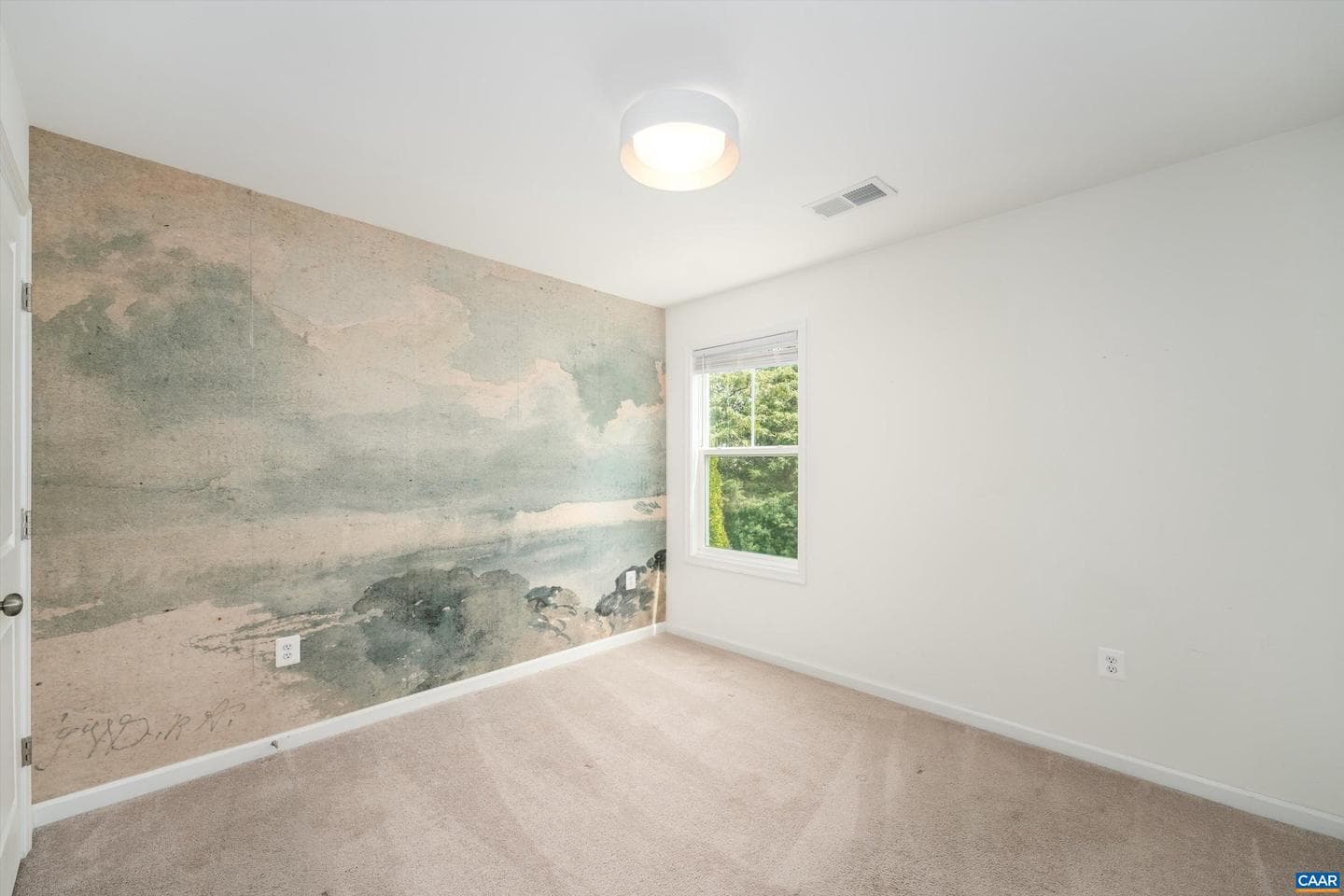241 Vine St photo 37