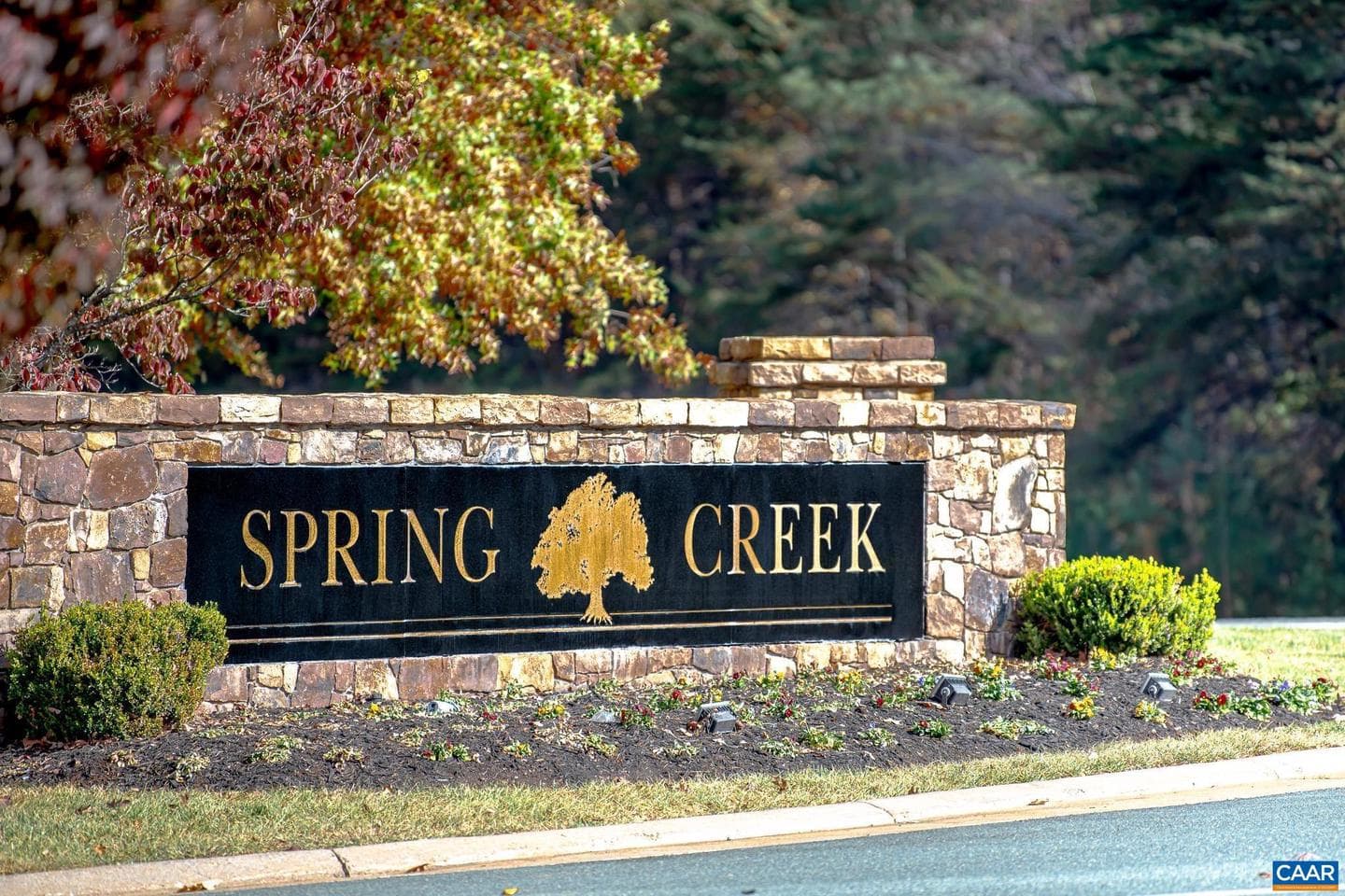 130 Cherrywood Ct photo 46