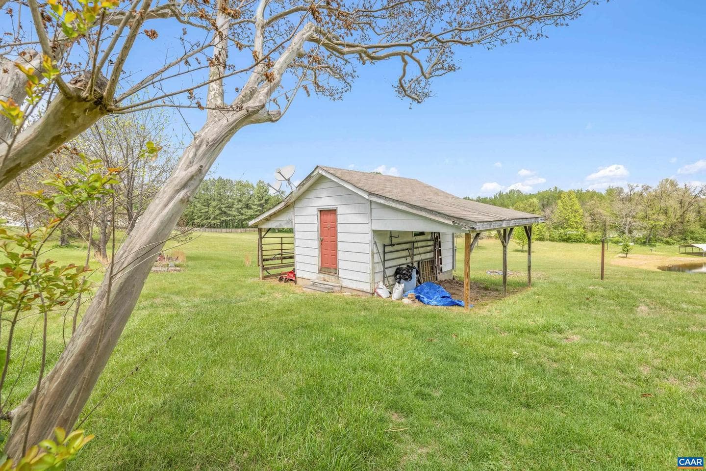 653 Celt Rd photo 58