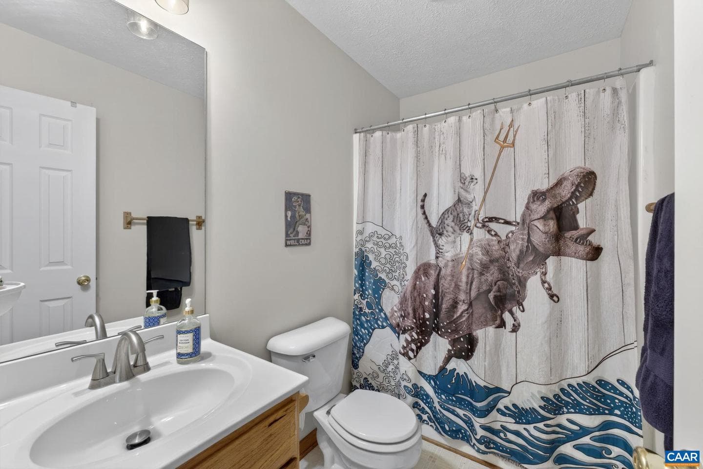 122 Mistie Ridge Ln photo 22