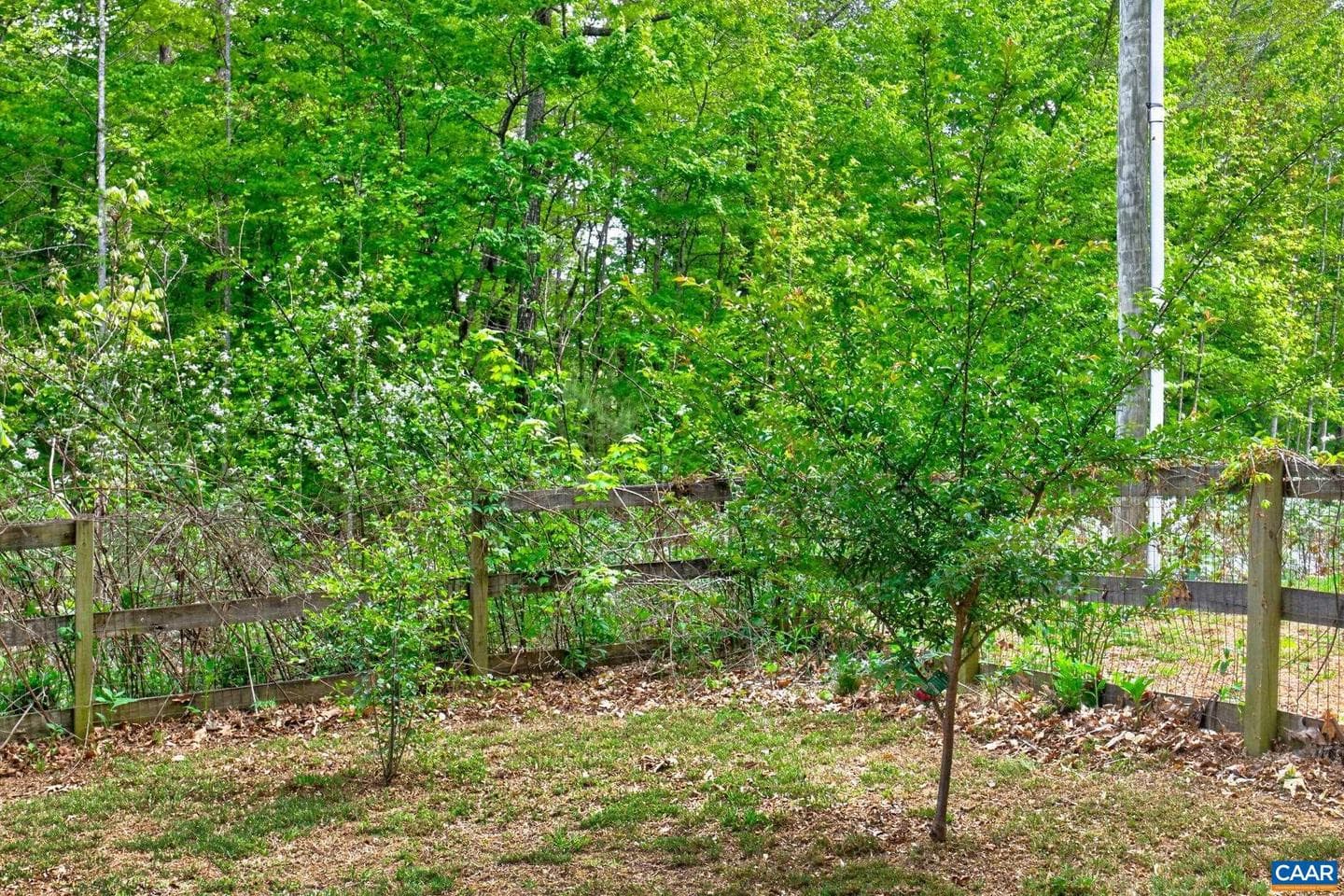 122 Mistie Ridge Ln photo 39