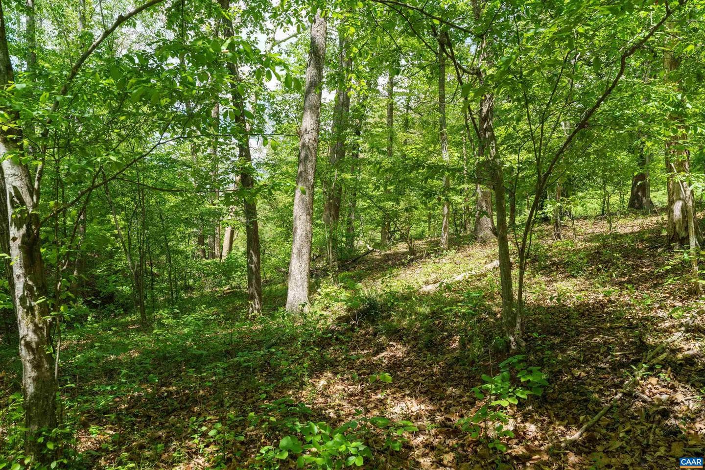 418 James River Rd photo 47