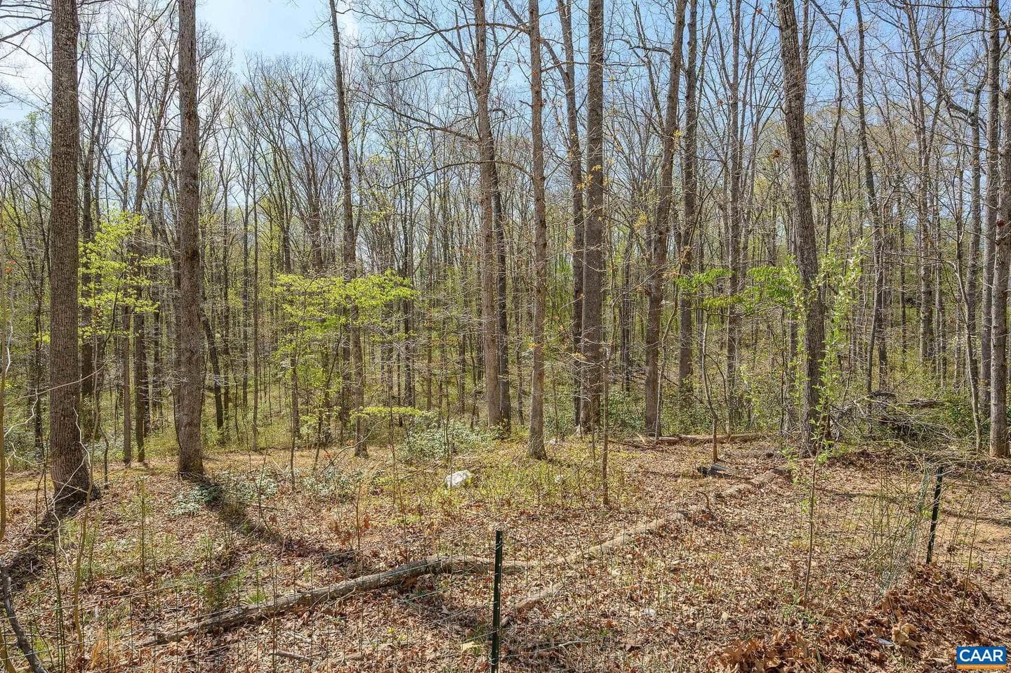 266 Swift Run Rd photo 16