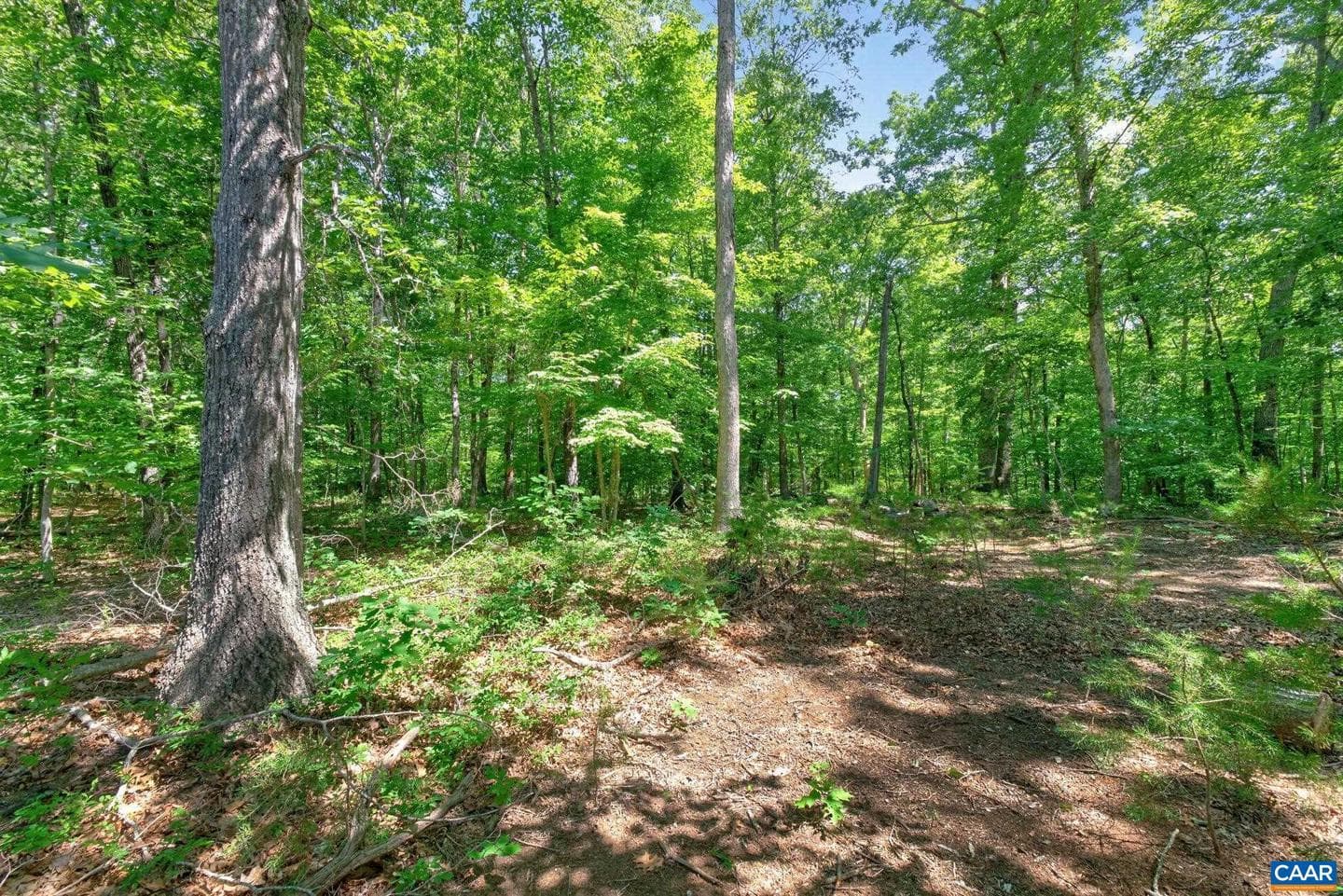496 Bowlers Mill Run photo 48
