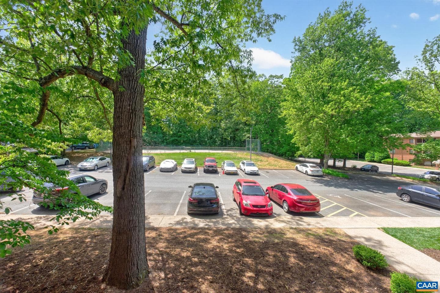 103 Turtle Creek Rd #8 photo 36