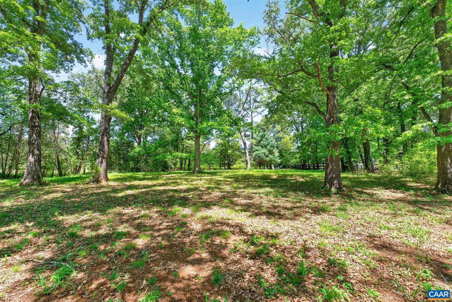 4362 Ivy Rd photo 44