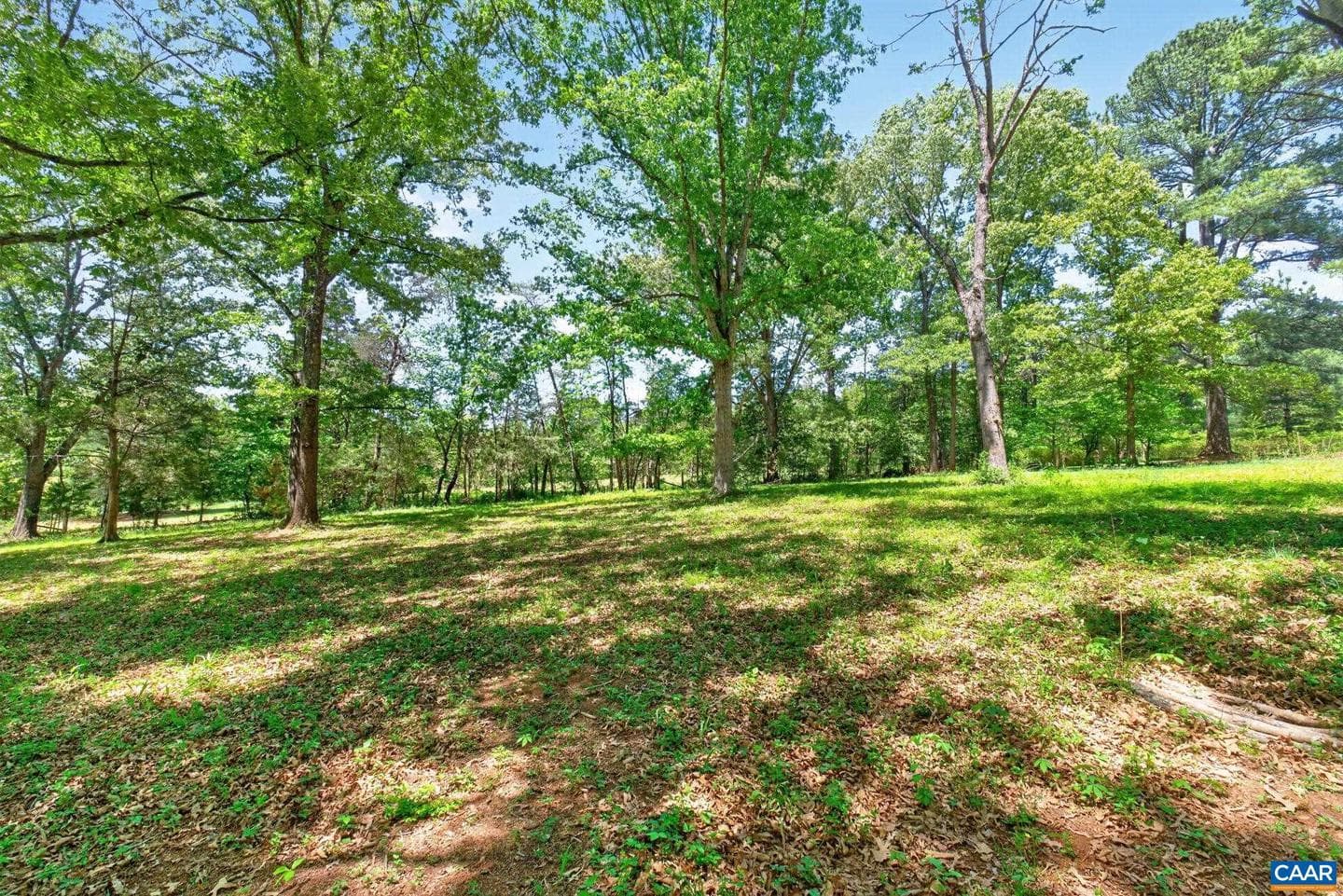 4362 Ivy Rd photo 46