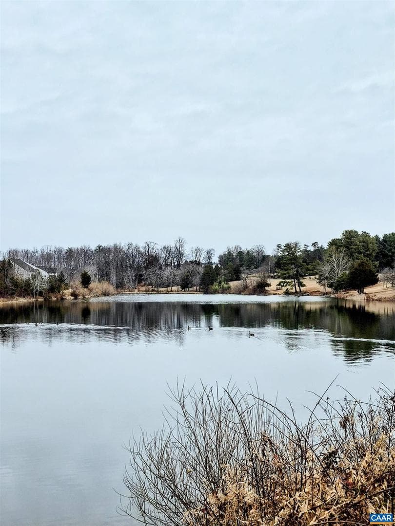 321 Mistland Trl photo 48