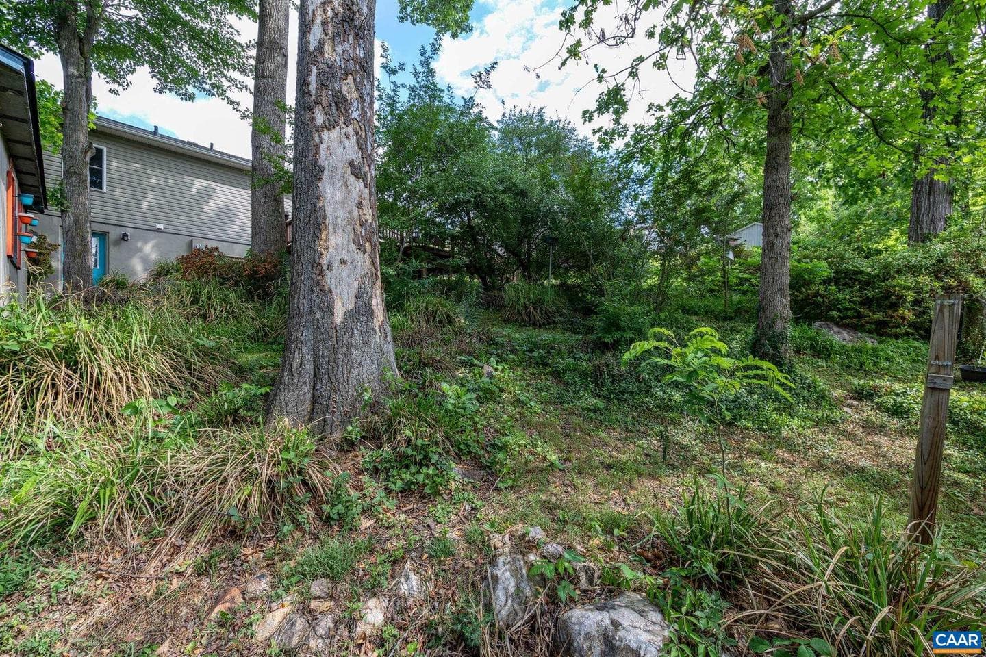 525 Jester Ln photo 47