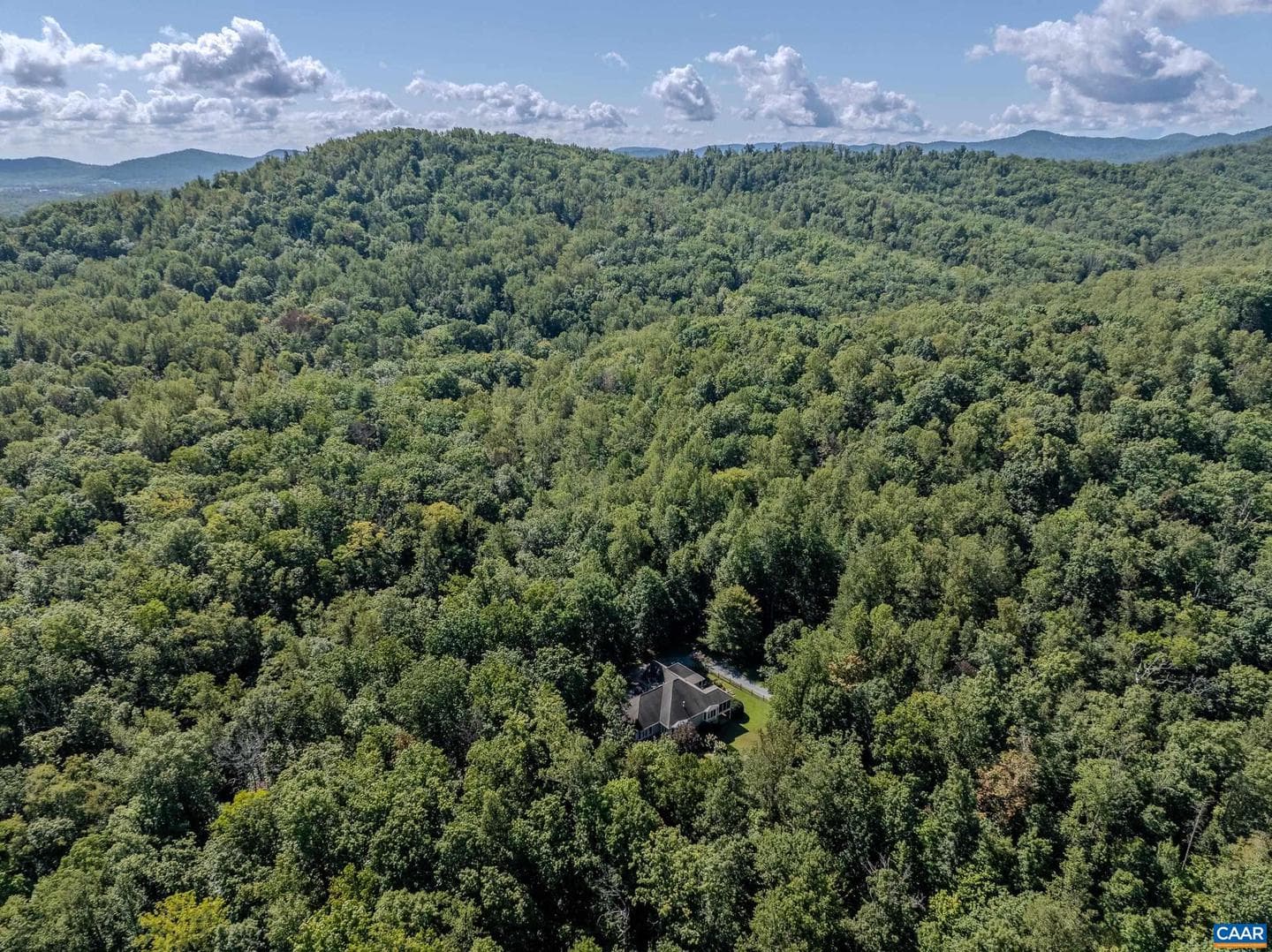 395 Ivy Vista Dr photo 67
