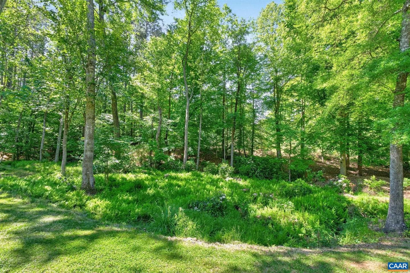 504 Willow Ridge Rd photo 33